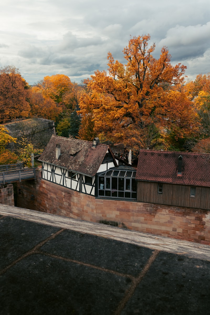 Holzschädlinge im Dachstuhl erkennen